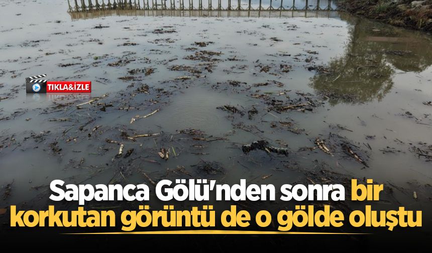 Sapanca Gölü'nden sonra bir korkutan görüntü de o gölde oluştu