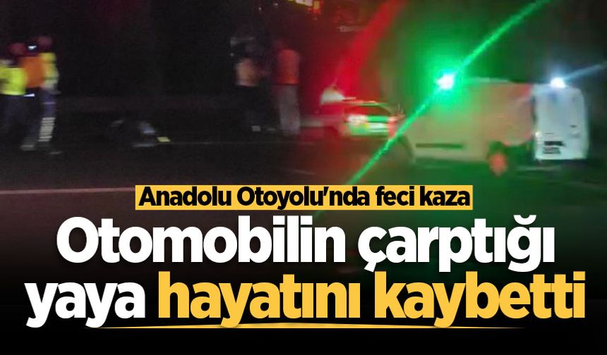 Anadolu Otoyolu'nda feci kaza: Otomobilin çarptığı yaya hayatını kaybetti