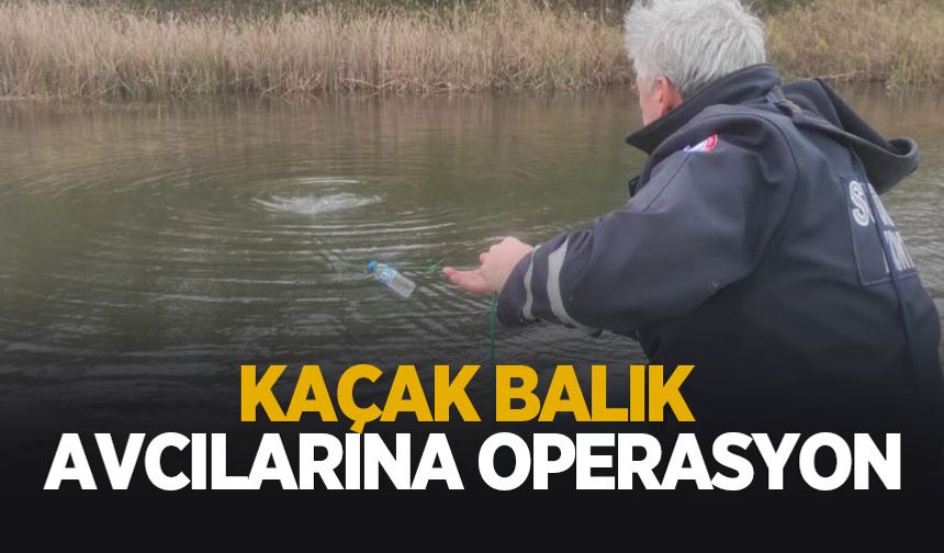 Mollaköy Göletleri'nde kaçak avcılara operasyon
