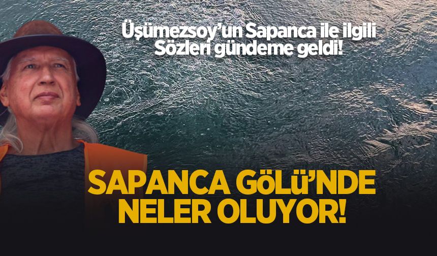 Sapanca Gölü'nde neler oluyor?
