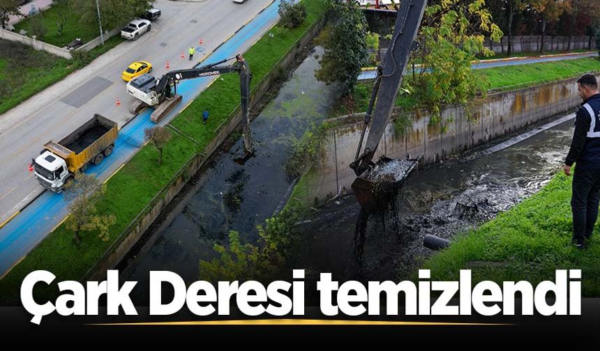 Çark Deresi temizlendi