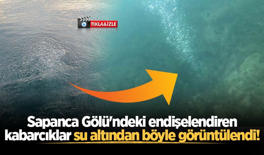 Sapanca Gölü'ndeki endişelendiren kabarcıklar su altından böyle görüntülendi!