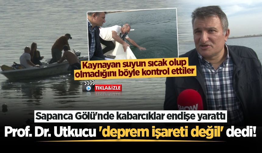 Sapanca Gölü’nde kabarcıklar endişe yarattı: Prof. Dr. Utkucu 'deprem işareti değil' dedi!