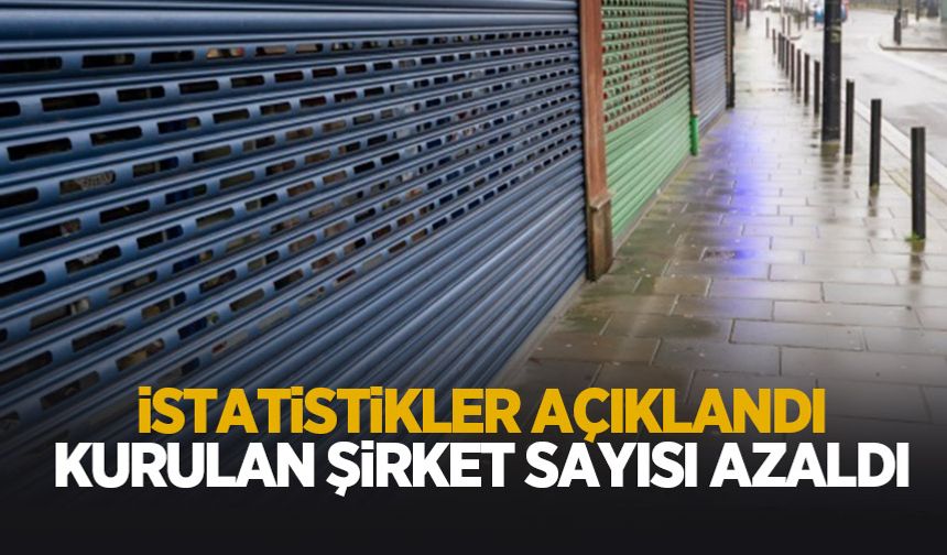 Kurulan şirket sayısı azaldı