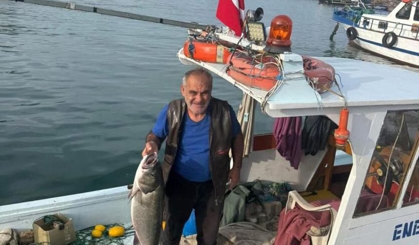 Akçakoca'da balıkçı ağına 10 kiloluk levrek takıldı