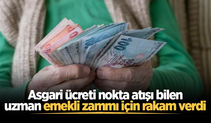 Asgari ücreti nokta atışı bilen uzman emekli zammı için rakam verdi