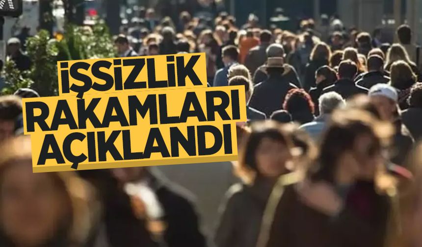 Kasım ayı işsizlik rakamları açıklandı