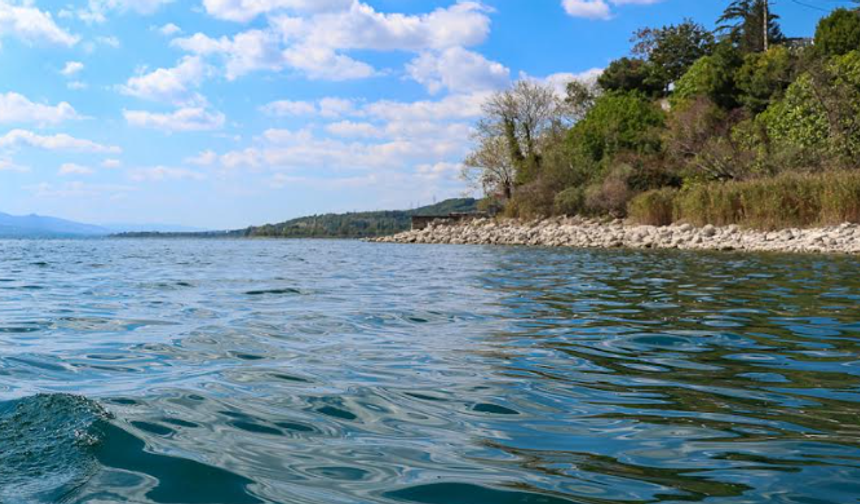 Turna Balığı ve Sapanca Gölü için açıklama
