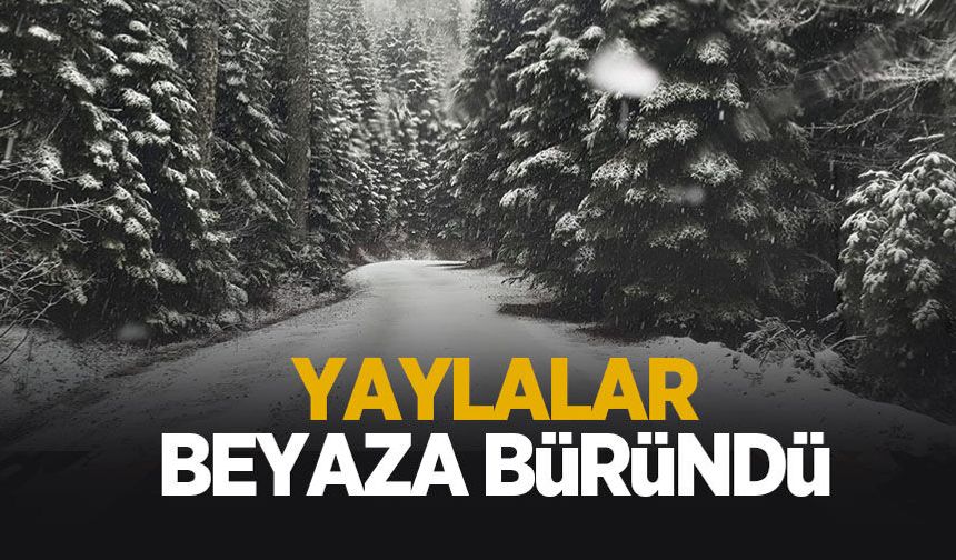 Çiğdem Yaylası'na kar yağdı
