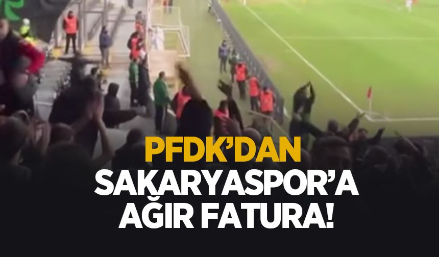 Sakaryaspor'un cezası belli oldu