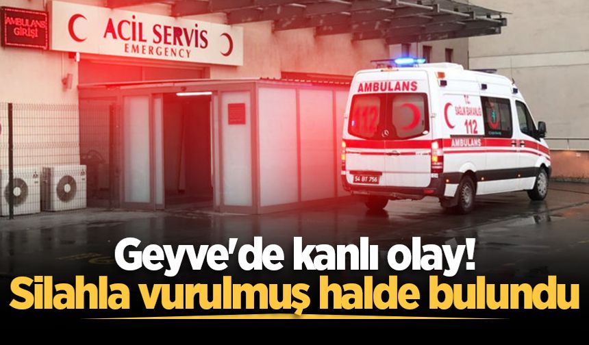 Geyve'de kanlı olay! Silahla vurulmuş halde bulundu