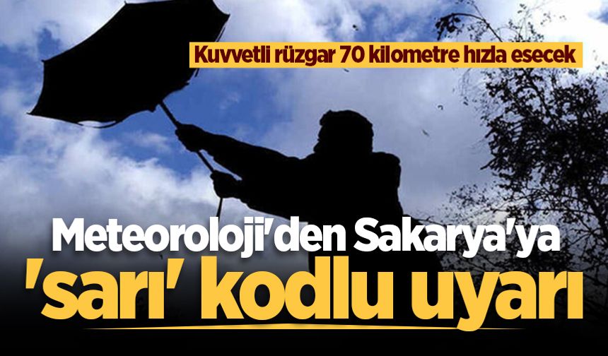 Meteoroloji'den Sakarya'ya 'sarı' kodlu uyarı: Kuvvetli rüzgar 70 kilometre hızla esecek
