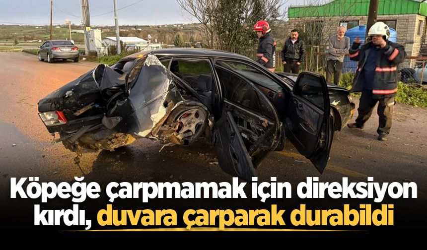 Köpeğe çarpmamak için direksiyon kırdı, duvara çarparak durabildi