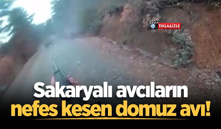Sakaryalı avcıların nefes kesen domuz avı!