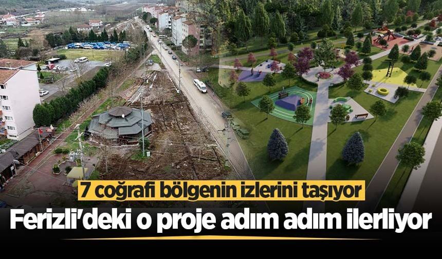 Ferizli'deki o proje adım adım ilerliyor: 7 coğrafi bölgenin izlerini taşıyor