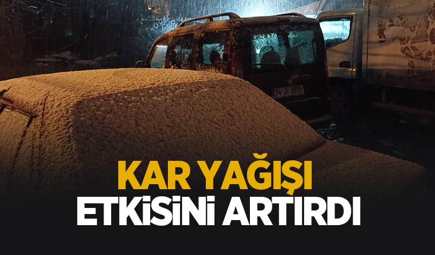 Sakarya'da kar etkisini artırdı
