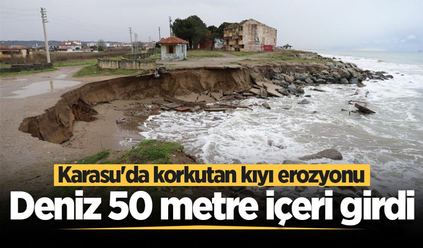 Karasu'da korkutan kıyı erozyonu: Deniz 50 metre içeri girdi