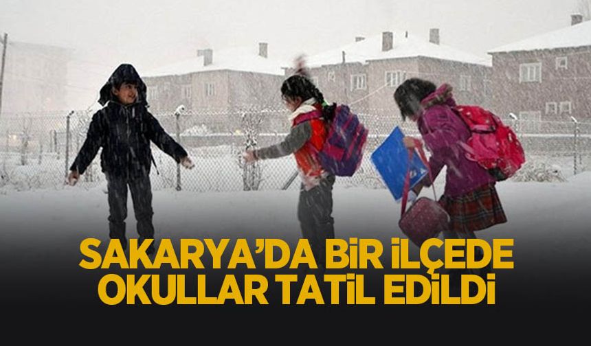 Bir ilçede okullar tatil edildi