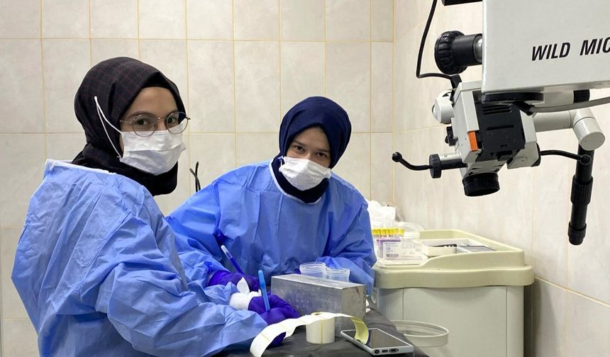 Güz Yarıyılı’nda 1.641 öğrenci iş deneyimi kazandı