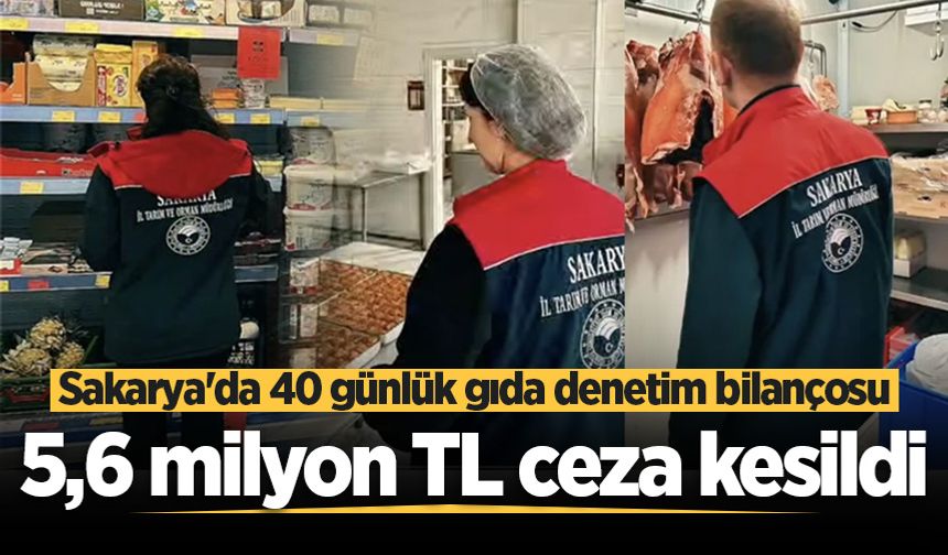Sakarya'da 40 günlük gıda denetim bilançosu: 5,6 milyon TL ceza kesildi
