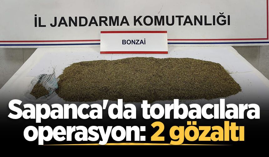 Sapanca'da torbacılara operasyon: 2 gözaltı