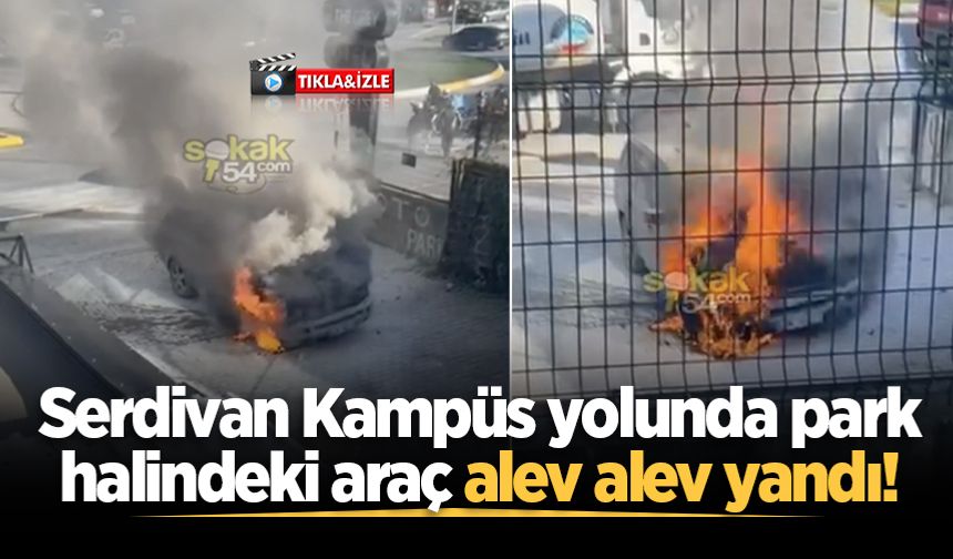 Serdivan Kampüs yolunda park halindeki araç alev alev yandı!