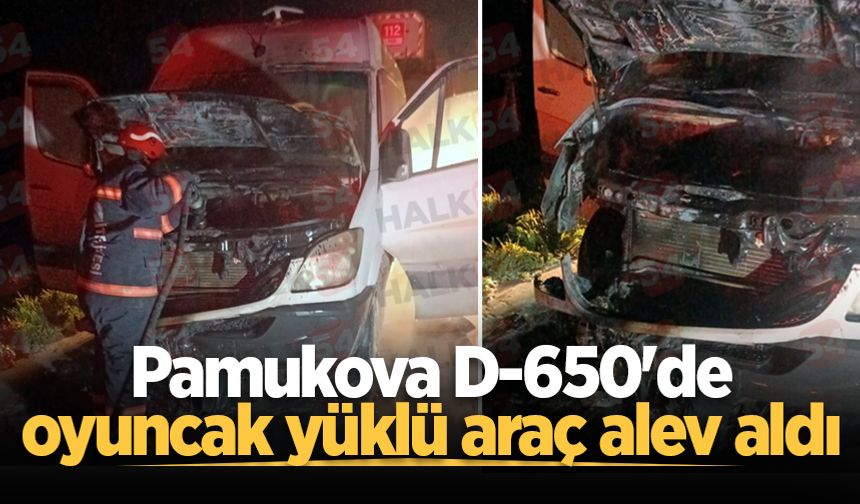 Pamukova D-650'de oyuncak yüklü araç alev aldı
