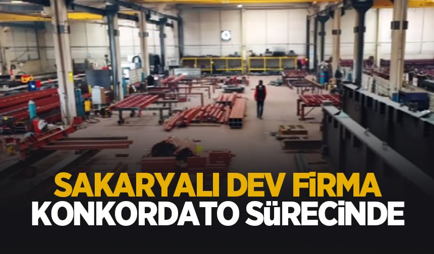 Sakarya'da üretim yapan şirket için konkordato kararı: 1 yıl kesin mühlet