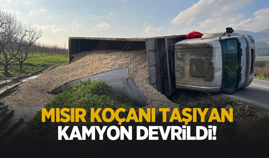 Pamukova-İznik yolunda kaza