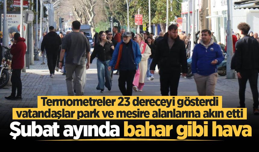 Sakarya'da şubat ayında bahardan kalma günler yaşanıyor