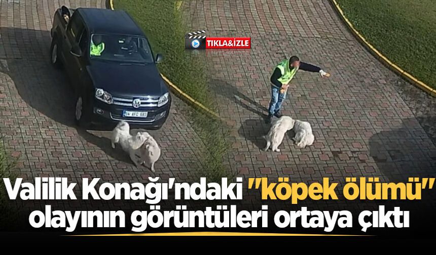 Valilik Konağı'ndaki "köpek ölümü" olayının görüntüleri ortaya çıktı