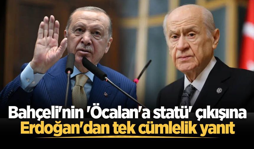 Bahçeli'nin 'Öcalan'a statü' çıkışına Erdoğan'dan tek cümlelik yanıt