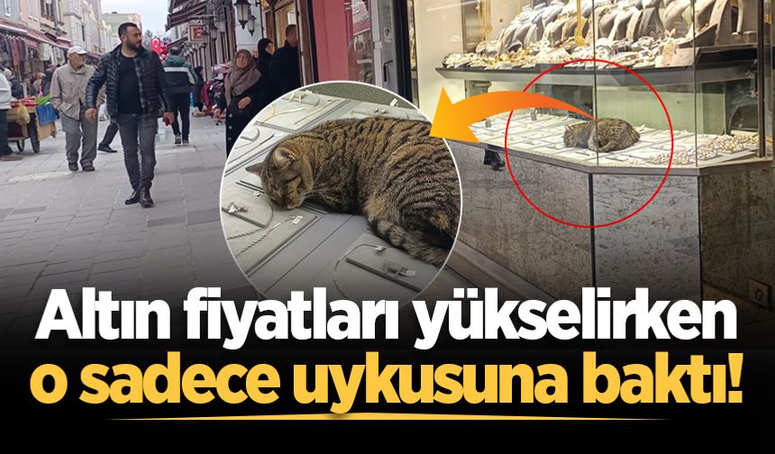 Uzun Çarşı'da gülümseten anlar: Altınlardan daha çok ilgi çekti