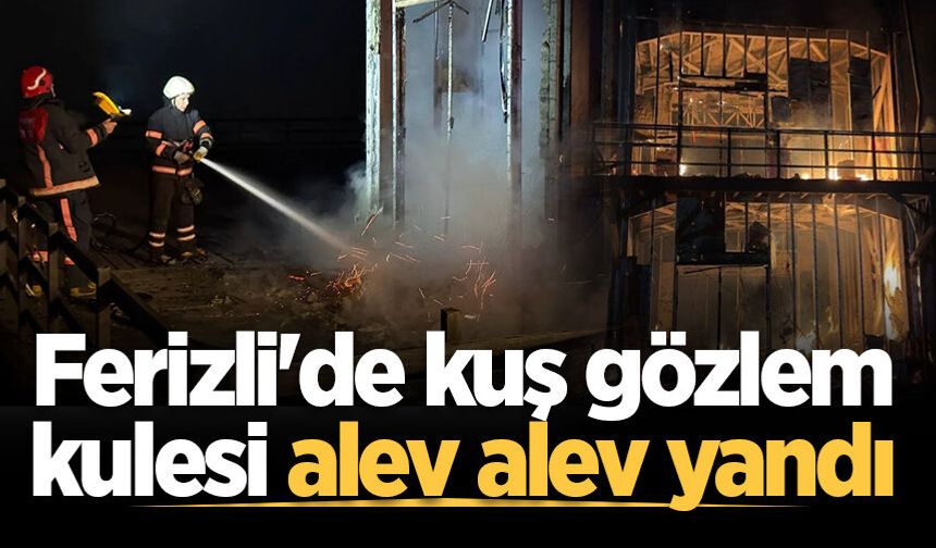 Ferizli'de kuş gözlem kulesi alev alev yandı