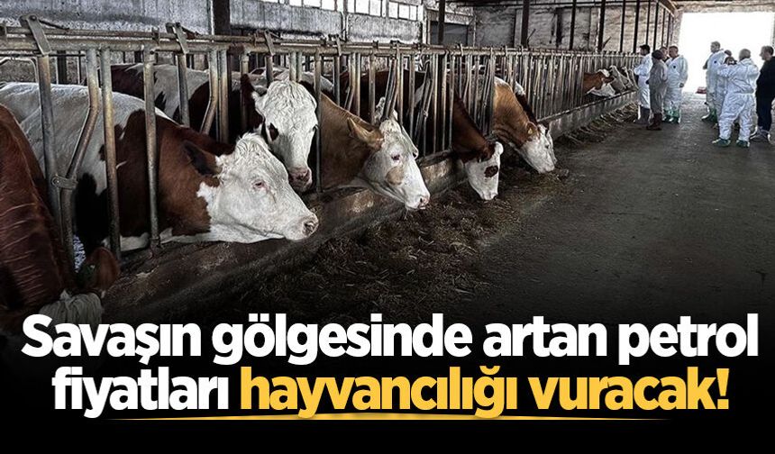 Savaşın gölgesinde artan petrol fiyatları hayvancılığı vuracak!