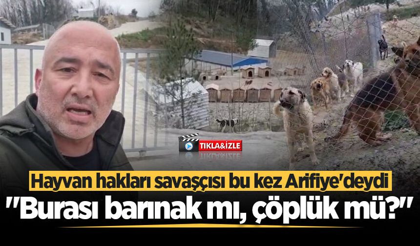 Arifiye'deki hayvan barınağını böyle görüntüledi: "Her yer pislik içinde, personel yok!"