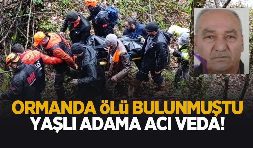Define meraklısıydı; Ormanda ölü bulunan yaşlı adama acı veda