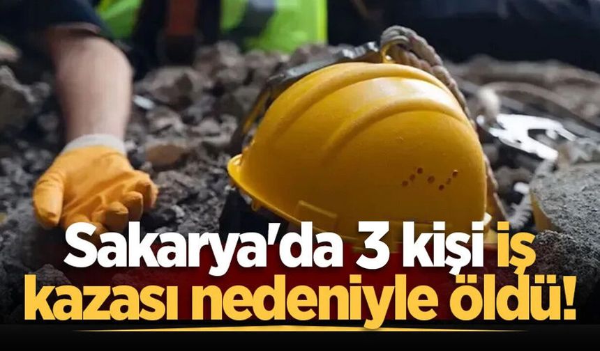 Sakarya’da Şubat ayında 3 işçi iş kazalarında can verdi