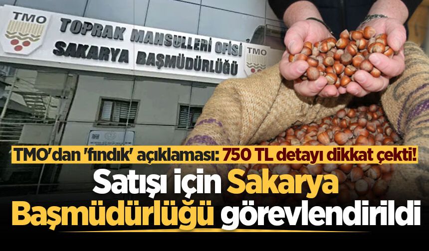 TMO'dan 'fındık' açıklaması: 750 TL detayı dikkat çekti! Satışı için Sakarya Başmüdürlüğü görevlendirildi