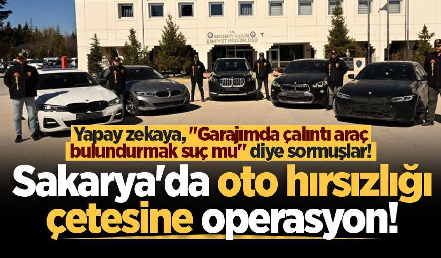 Sakarya'da oto hırsızlığı çetesine operasyon!