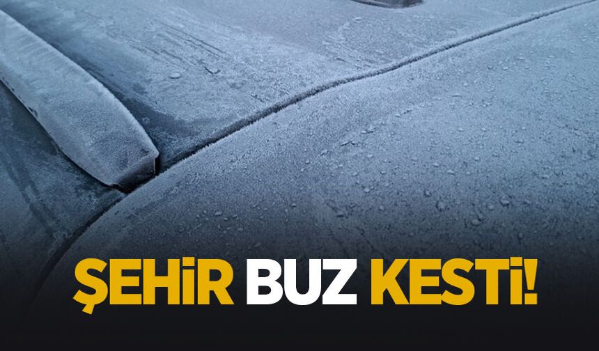 Sakarya’da gece ayazı: Kırağı her yeri beyaza bürüdü
