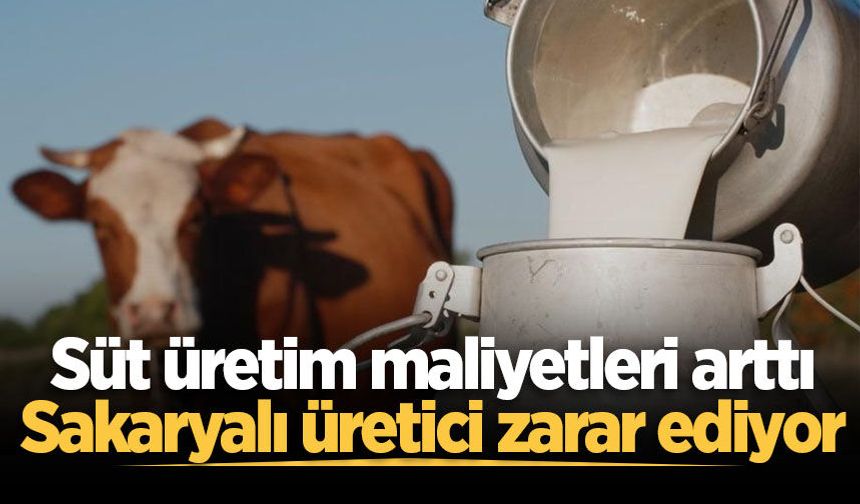 Süt üretim maliyetleri arttı, Sakaryalı üretici zarar ediyor