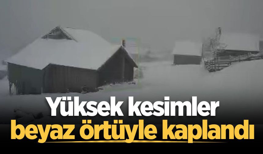 Sakarya'nın yüksek kesimleri beyaz örtüyle kaplandı