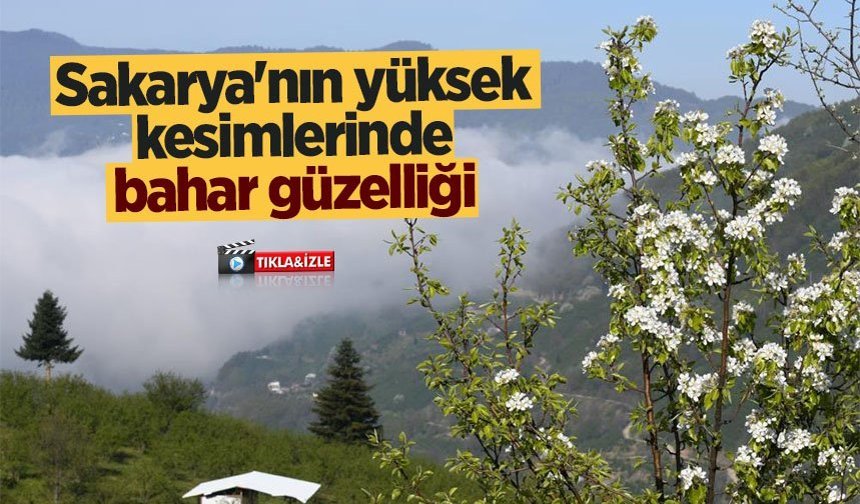 Sakarya'nın yüksek kesimlerinde bahar güzelliği