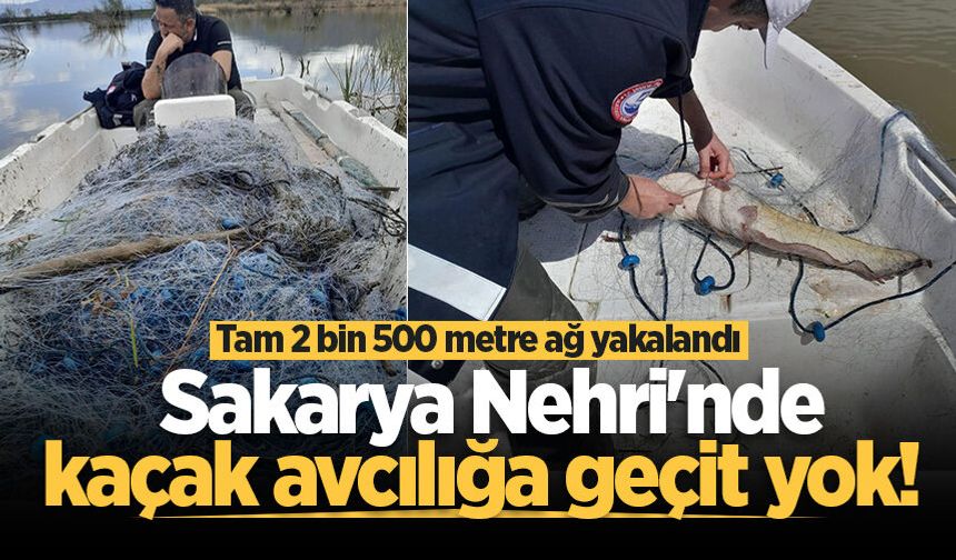 Sakarya Nehri'nde kaçak avcılığa geçit yok! Tam 2 bin 500 metre ağ yakalandı