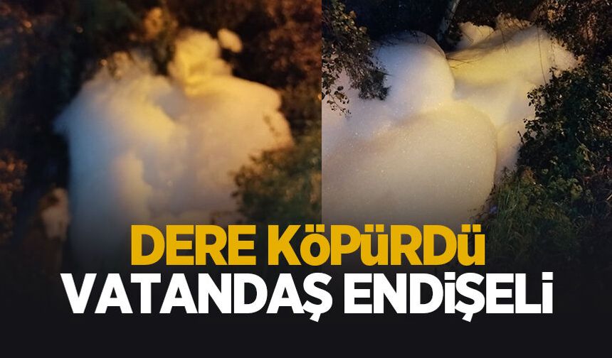 Hendek’te dere alarmı: Su köpürdü