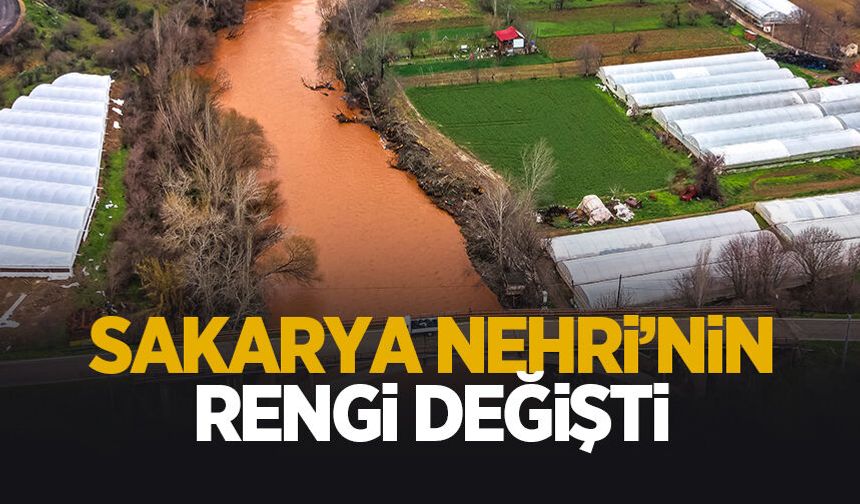 Sakarya Nehri'nin rengi değişti