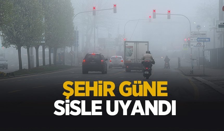 Sis şehri etkisi altına aldı