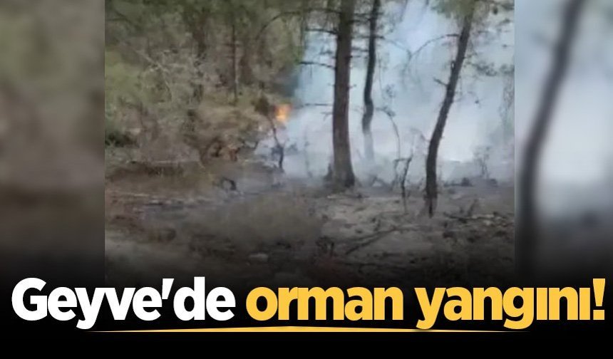 Geyve'de orman yangını: Ekipler müdahale ediyor
