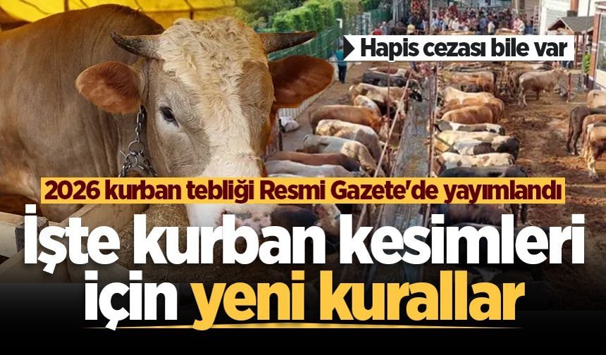 2026 kurban tebliği Resmi Gazete’de yayımlandı: İşte kurban kesimleri için yeni kurallar